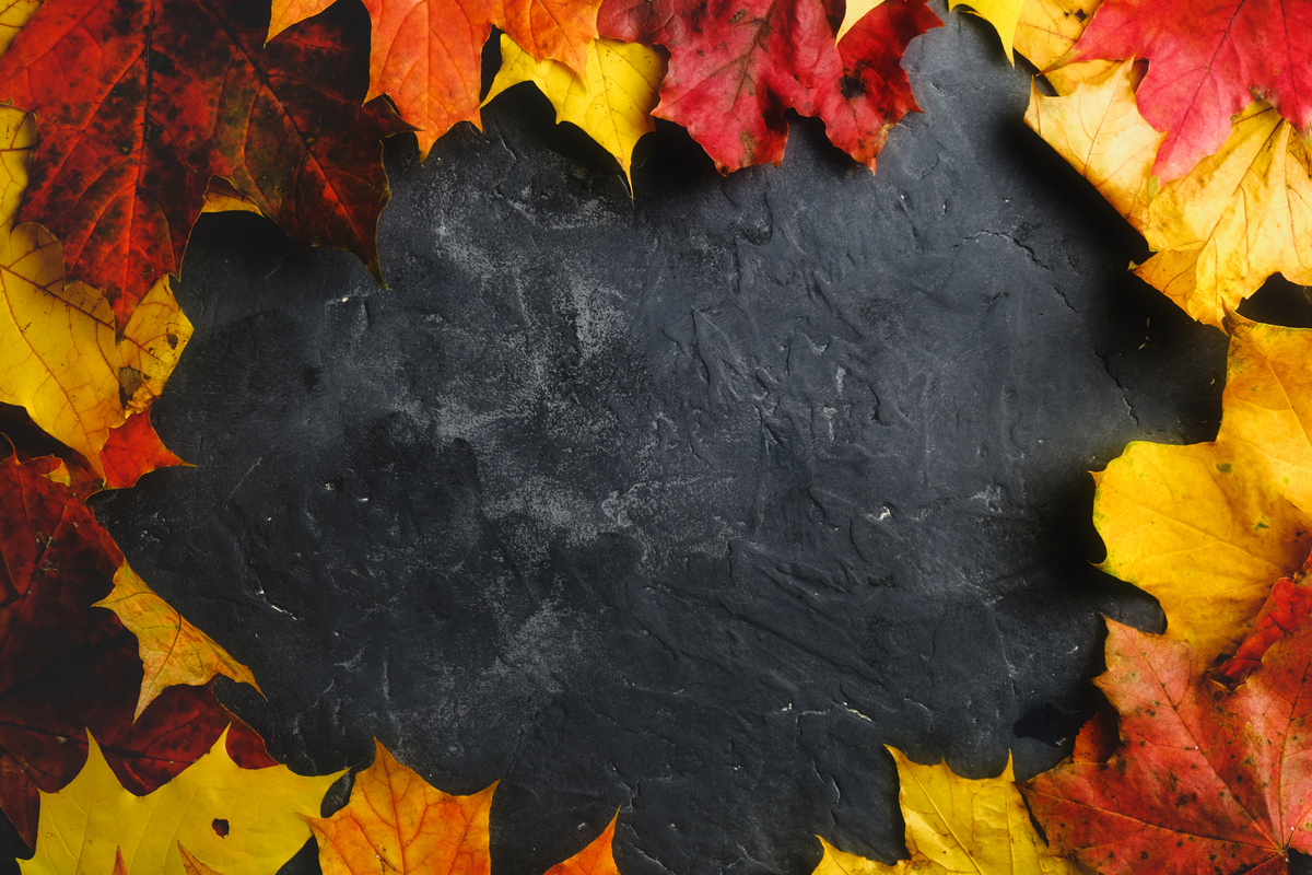 Autumn background, fall concept